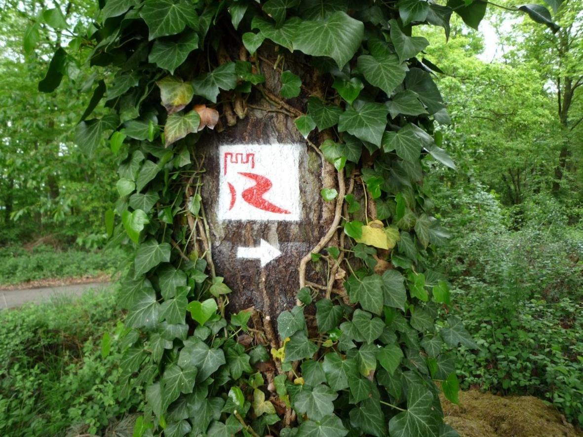 Villa Rheinblick Kamp-Bornhofen Esterno foto